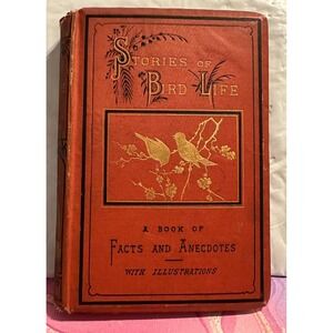 1875 Stories of Bird Life by Henry Berthoud Illustrated
